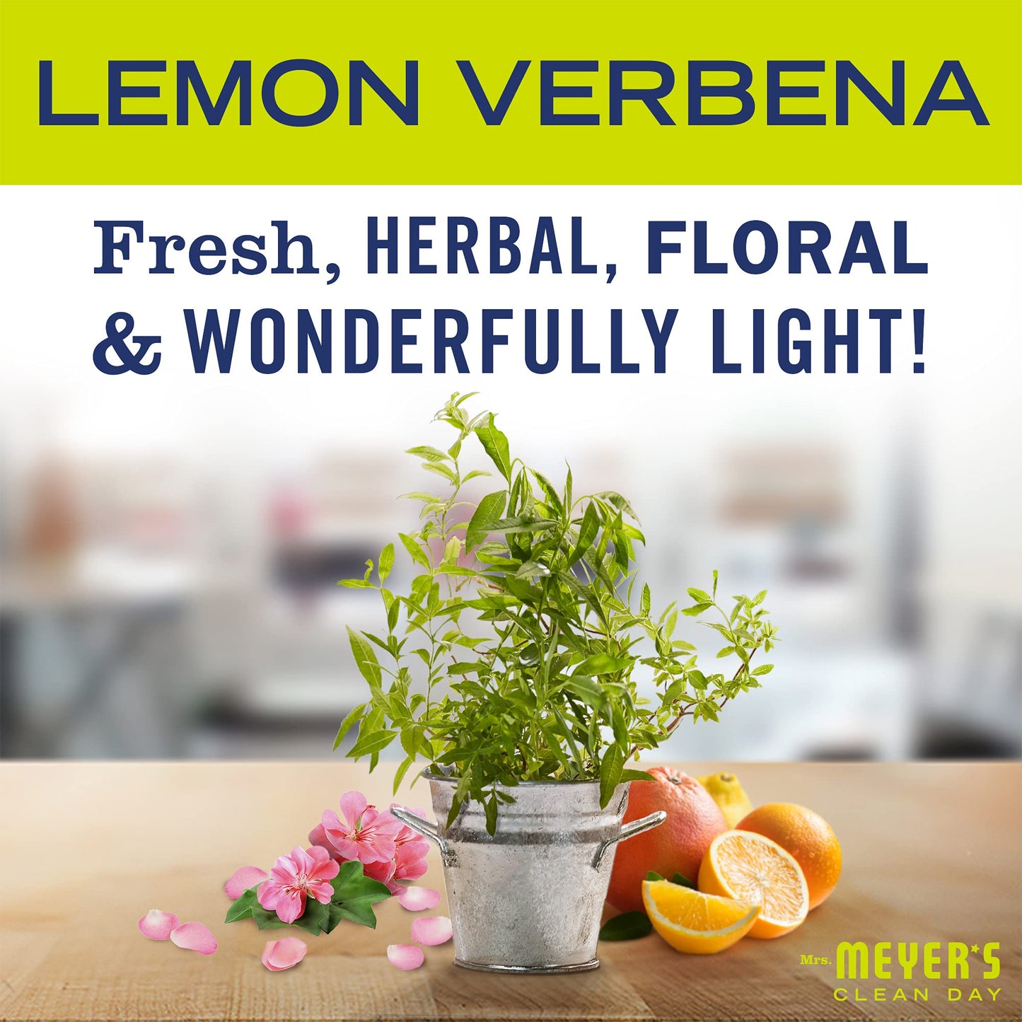 CLEAN DAY Probiotic Drain Maintenance Liquid, Lemon Verbena